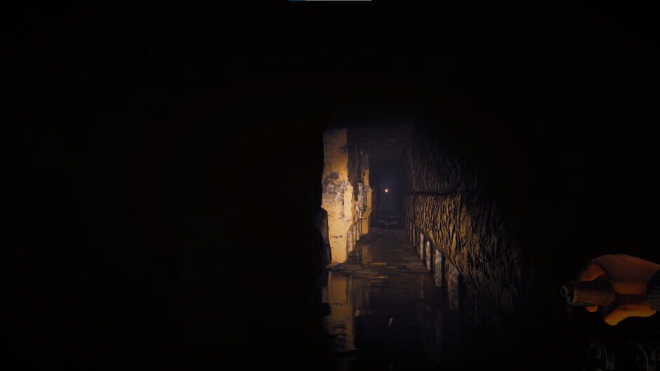 Effigy: The Descent Screenshot