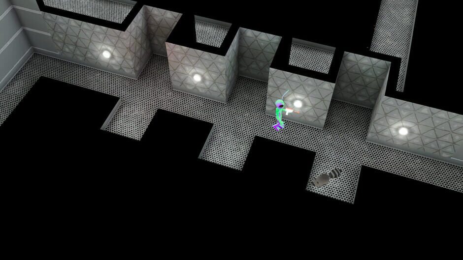 Raccoon Tales Screenshot