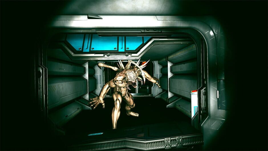 Predator and Wreck Screenshot