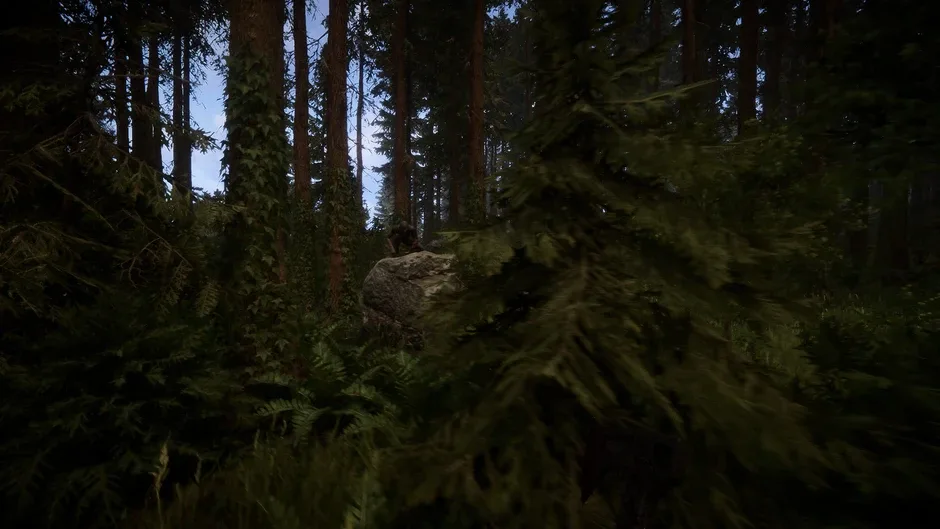 Sons of the Forest, captura de tela 3