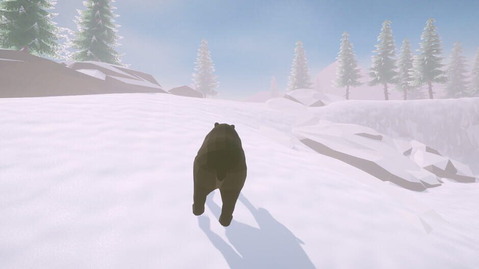 Cold Land Screenshot