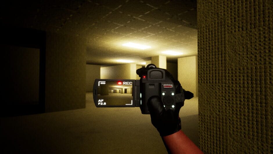 The Backroom Project Screenshot