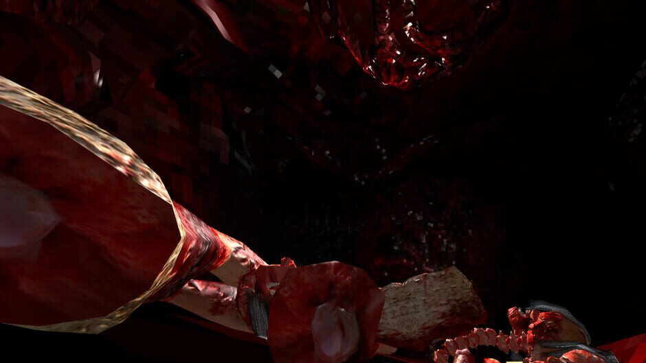 Invasion Vill Screenshot