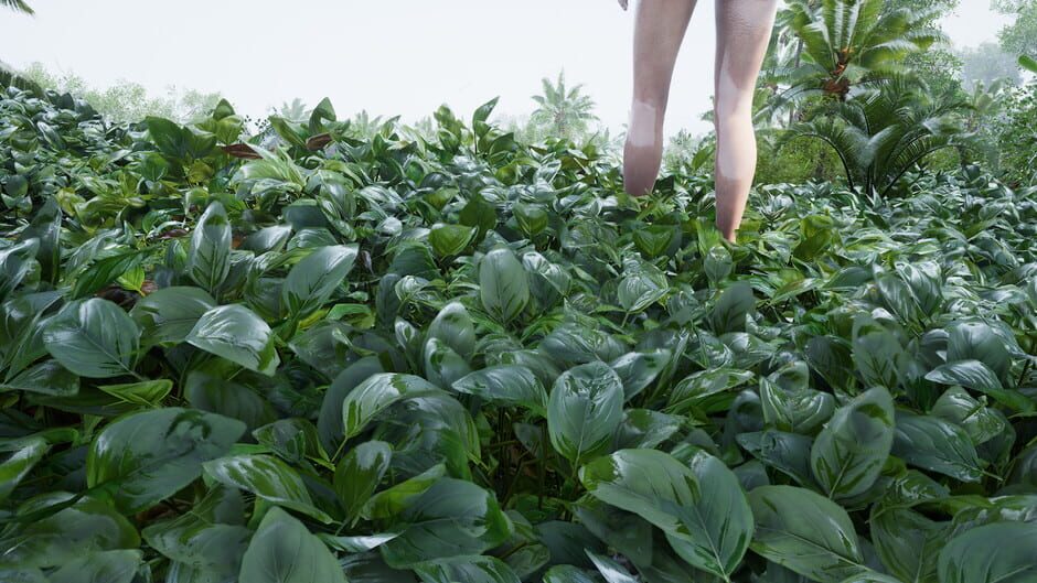 Eden Island Screenshot