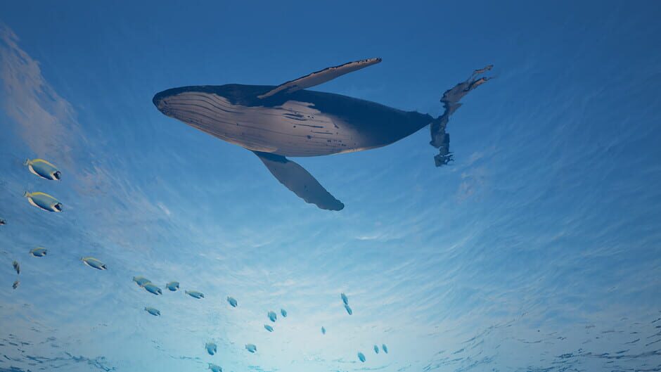 Eden Island Screenshot