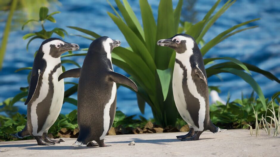 Eden Island Screenshot