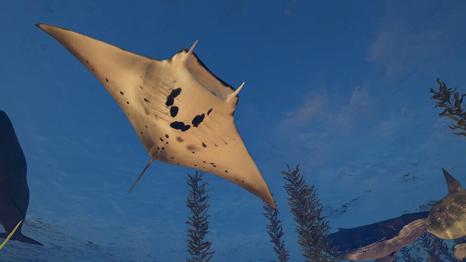 Eden Island Screenshot