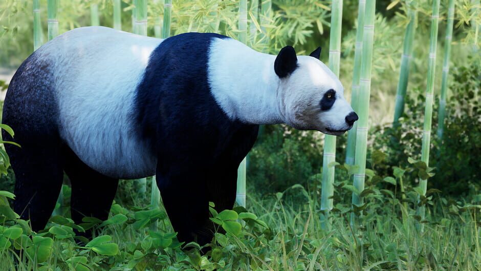 Eden Island Screenshot