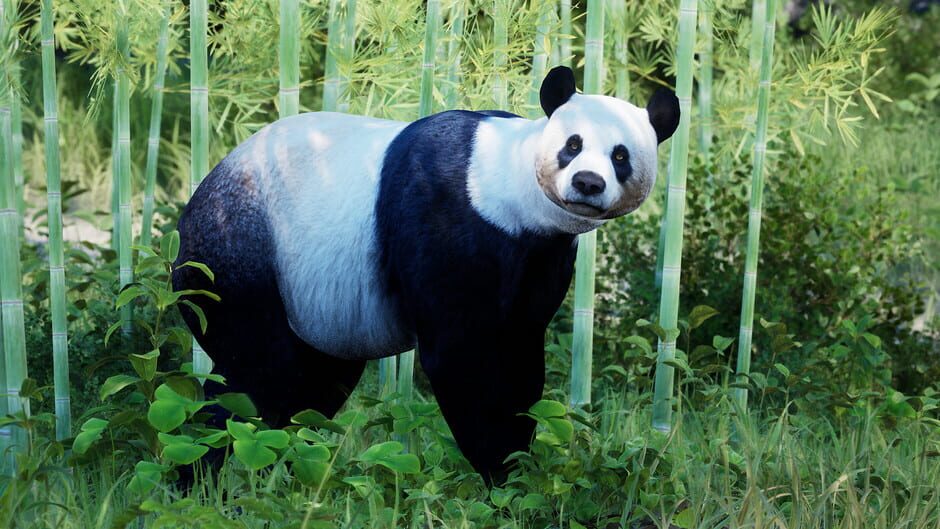 Eden Island Screenshot