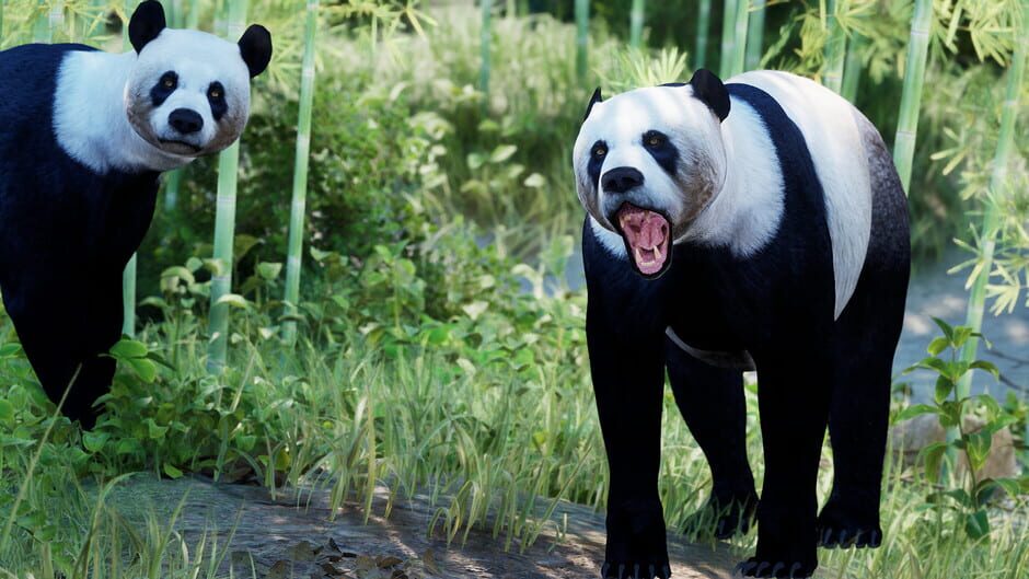 Eden Island Screenshot