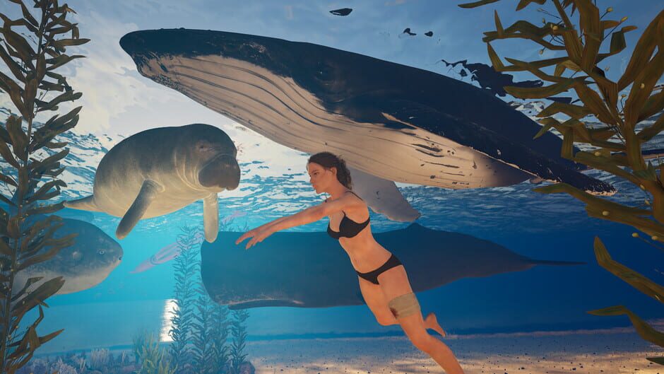 Eden Island Screenshot