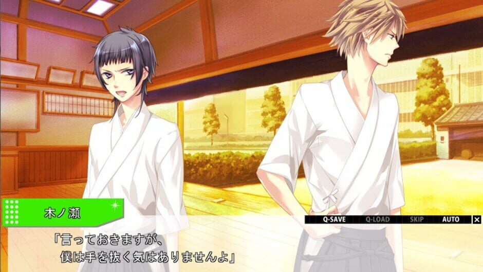 Starry Sky: in Summer media thumbnail