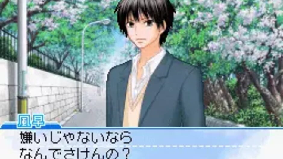 Kimi ni Todoke: Sodateru Omoi media thumbnail