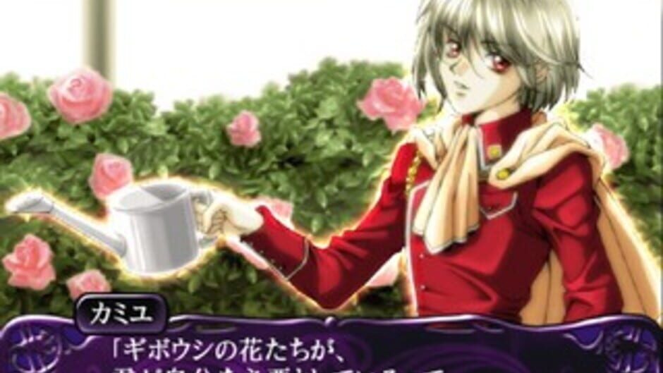 Meine Liebe: Yuubinaru Kioku screenshot