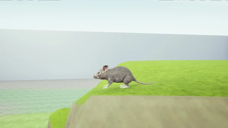 Capture d'écran de l'article