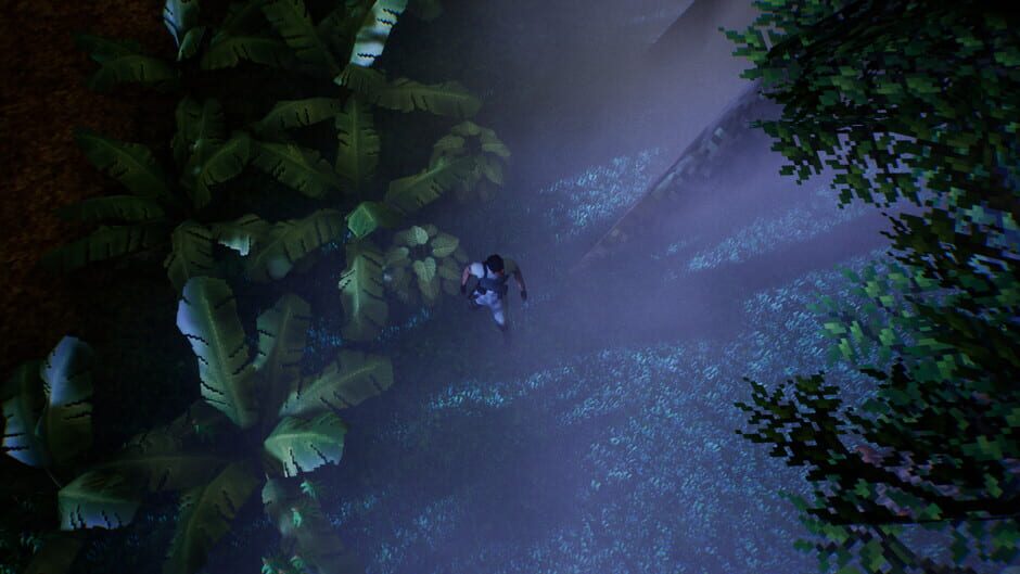 Undetected Screenshot