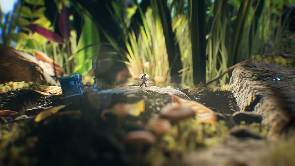 Big Earth Screenshot