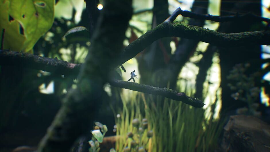 Big Earth Screenshot