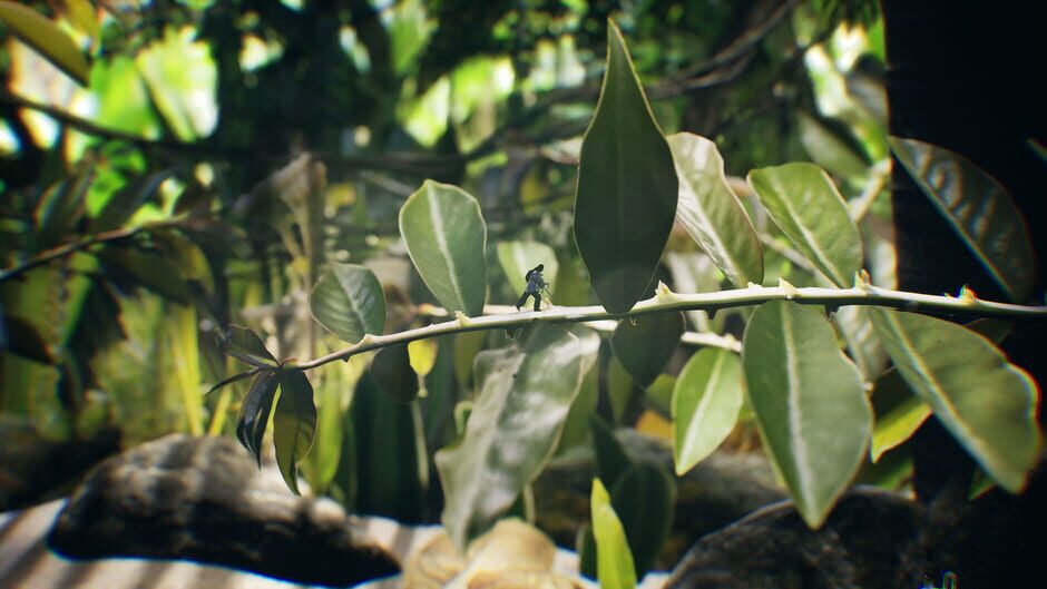 Big Earth Screenshot