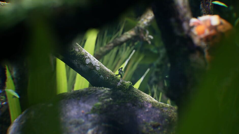 Big Earth Screenshot