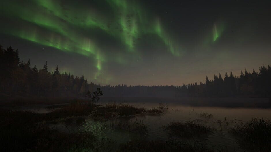 TheHunter: Call of the Wild - Revontuli Coast Screenshot