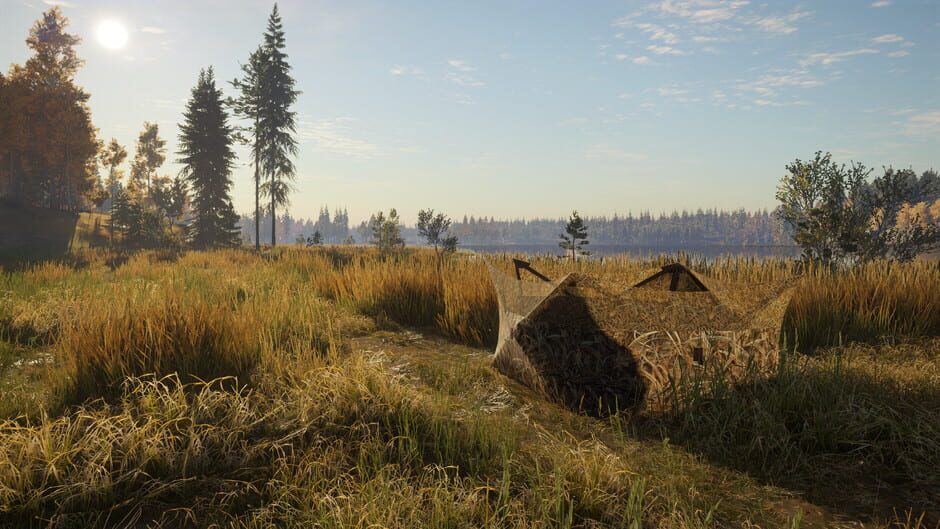 TheHunter: Call of the Wild - Revontuli Coast Screenshot