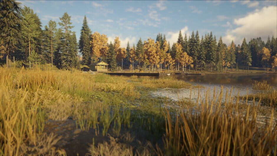 TheHunter: Call of the Wild - Revontuli Coast Screenshot