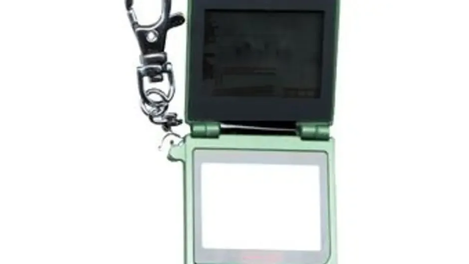 Capture d'écran de l'article