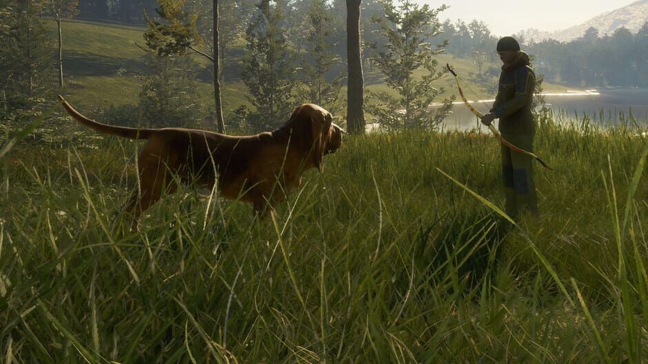 TheHunter: Call of the Wild - Bloodhound Screenshot