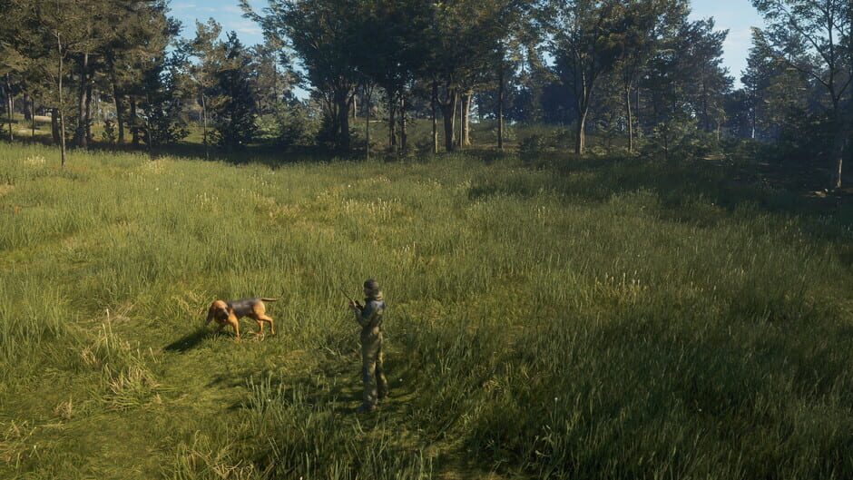 TheHunter: Call of the Wild - Bloodhound Screenshot