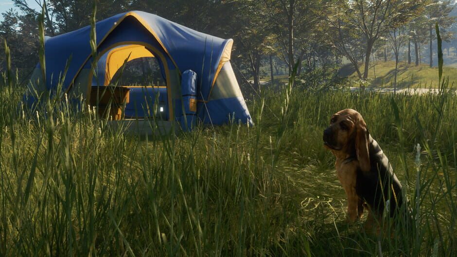 TheHunter: Call of the Wild - Bloodhound Screenshot