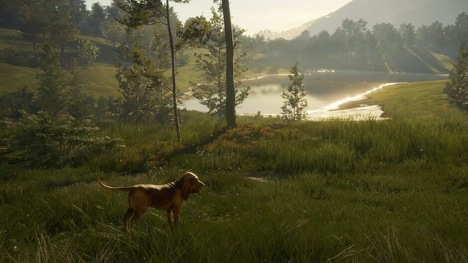 TheHunter: Call of the Wild - Bloodhound Screenshot