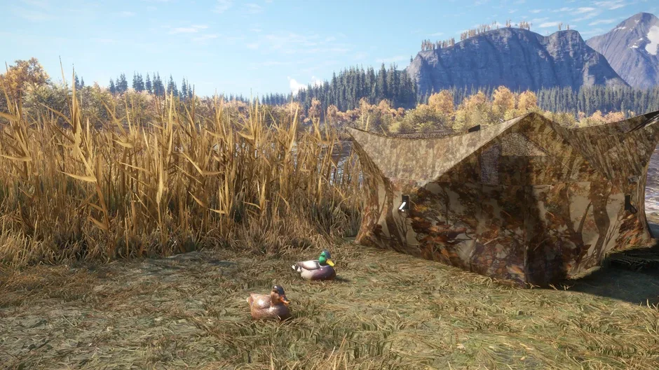 Capture d'écran de l'article