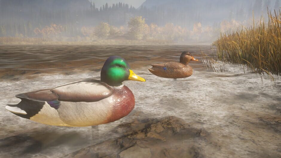TheHunter: Call of the Wild - Duck and Cover Pack Screenshot