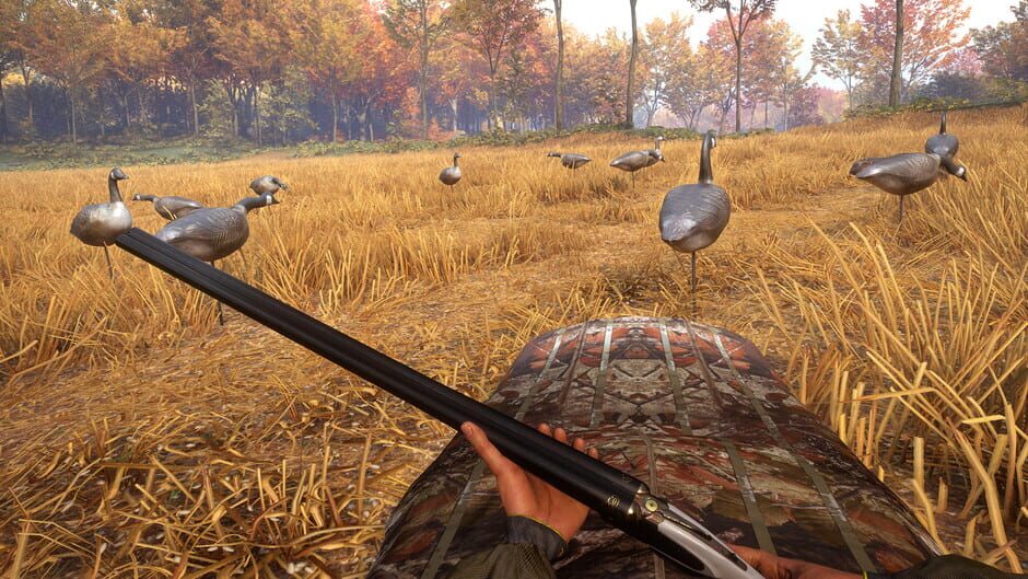 TheHunter: Call of the Wild - Wild Goose Chase Gear Screenshot