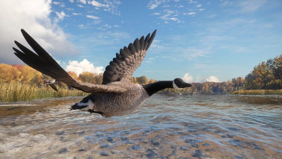 TheHunter: Call of the Wild - Wild Goose Chase Gear Screenshot