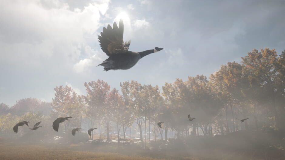 TheHunter: Call of the Wild - Wild Goose Chase Gear Screenshot