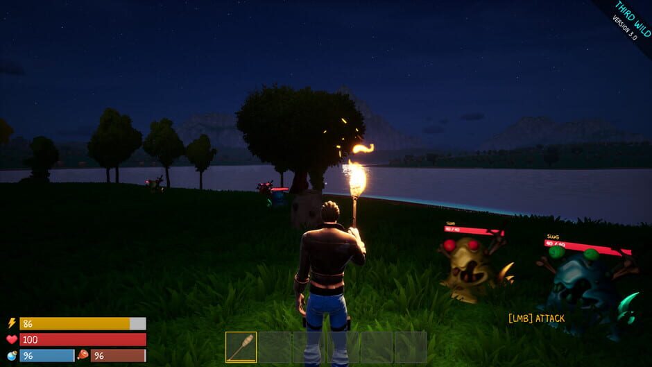 Third Wild Screenshot
