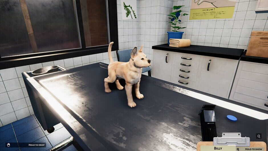Animal Shelter Simulator: Puppies & Kittens Screenshot