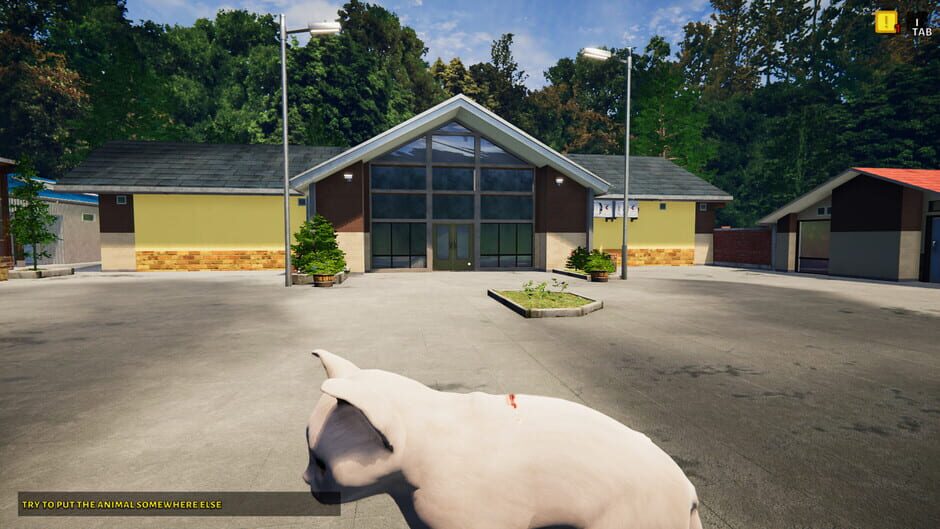 Animal Shelter Simulator: Puppies & Kittens Screenshot