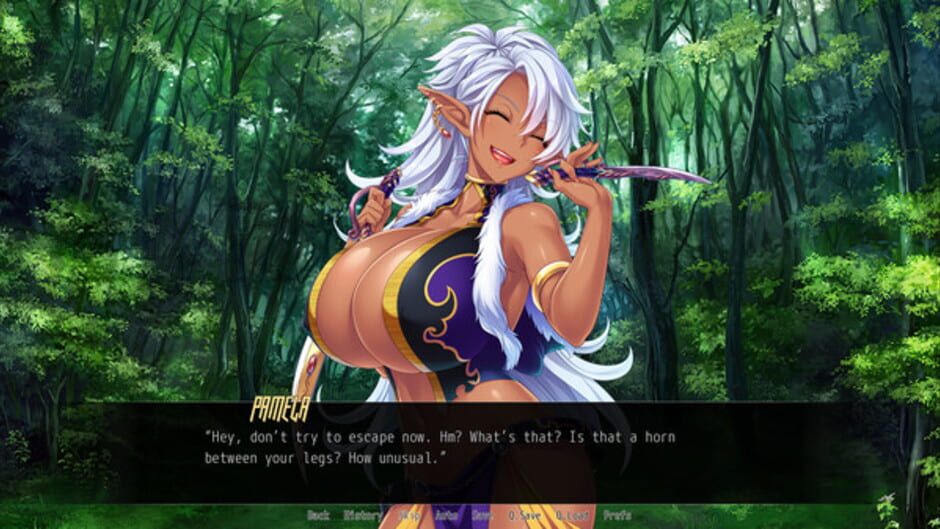 Hot & Steamy Knights Screenshot