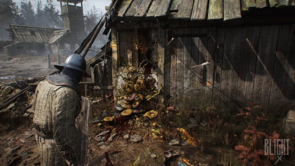 Screenshot Blight: Survival