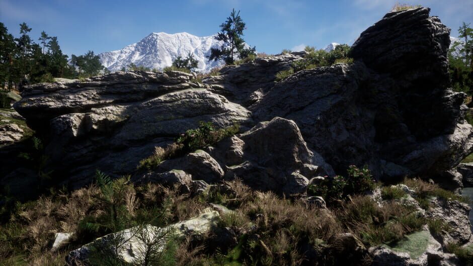 Direct Contact Screenshot