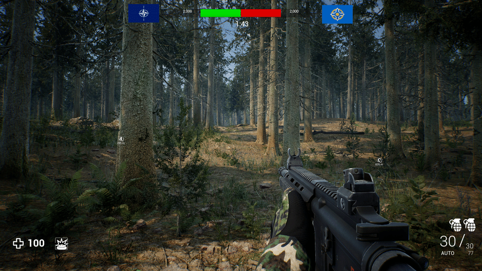 Frontline Grunt Screenshot