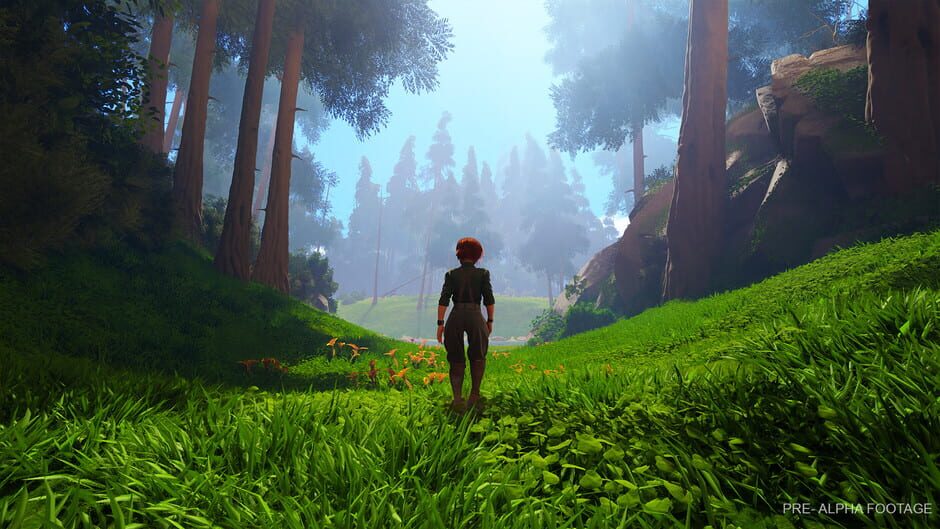 Screenshot Under a Rock