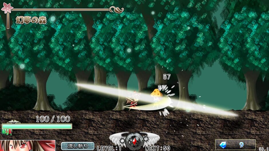Screenshots Touhou Mumyouken: Unorganized Heroes