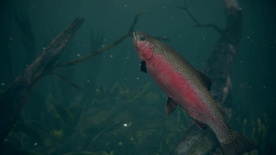 Ultimate Fishing Simulator 2 Screenshot