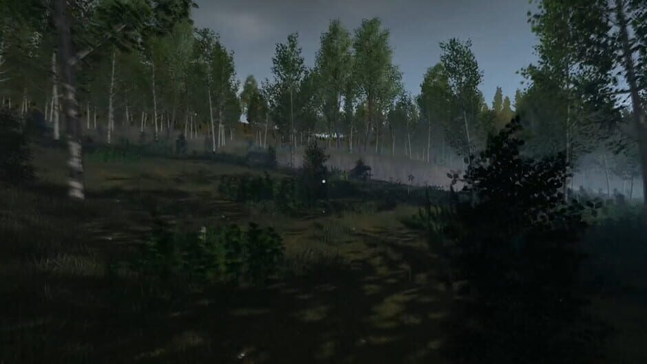 Endgame: Survival Screenshot