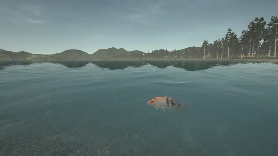 สกรีนช็อตจาก Ultimate Fishing Simulator: Taupo Lake (รูปที่ 12)