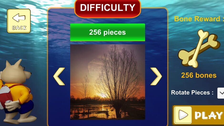 Jigsaw Puzzle: Belgium Through the Lens Screenshot
